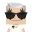 craftyflyer37