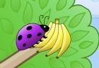 Fruity Bugs