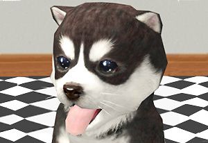 Jogo do gatinho 3d, simulador de gato e cachorro, Virtual Puppy