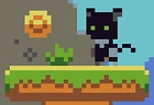 Cats and Coins