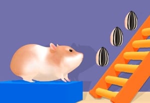 Hamsters In The House - Roblox Animal House Pets - Online Game