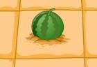 Happy Watermelon Farm