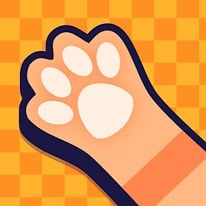 Cat Connection