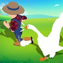 Crazy Goose Simulator