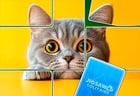 Jigsaw Solitaire